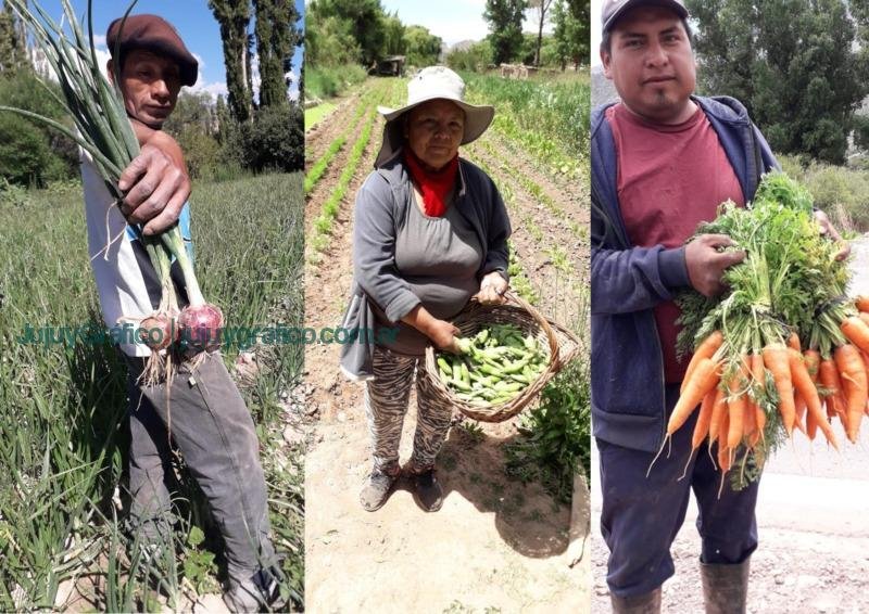 Consumir alimentos agroecológicos y a buen precio hoy es una realidad en Jujuy 3 Consumir alimentos agroecologicos y a buen precio hoy es una realidad en Jujuy 5